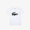 Lacoste Junior T-Shirt
